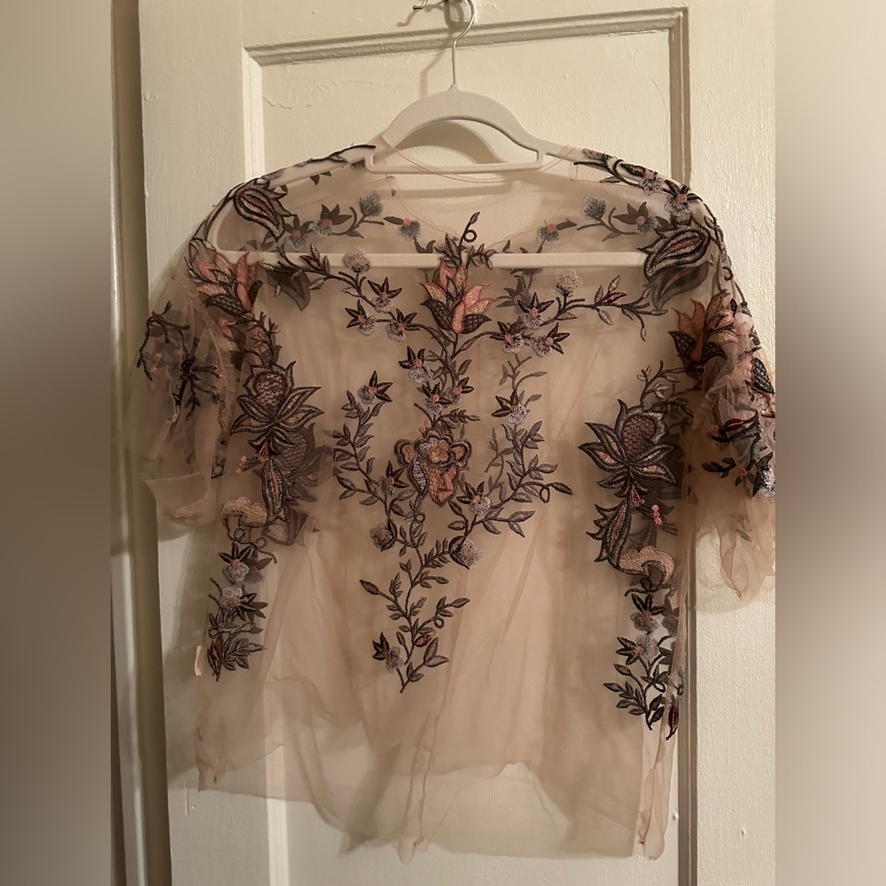Beautiful flower embroidered sheer Zara top.